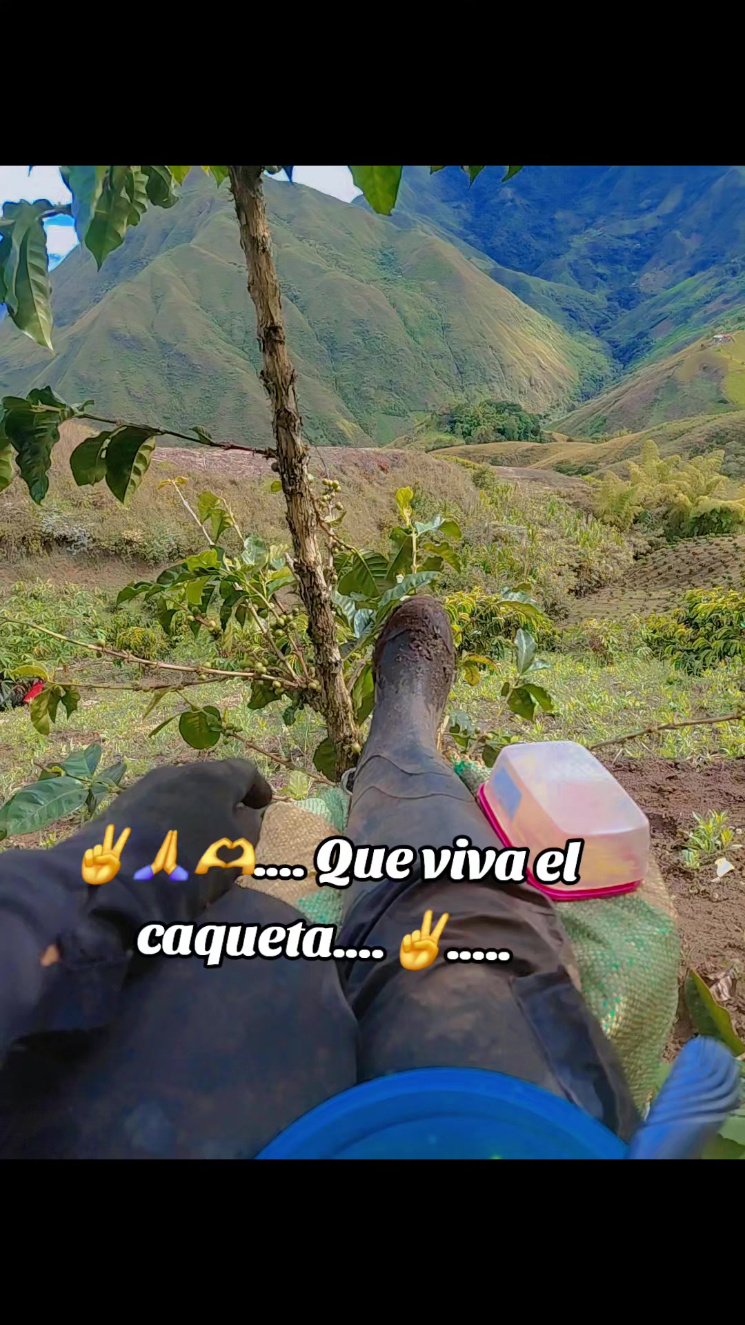 @Sara Peres