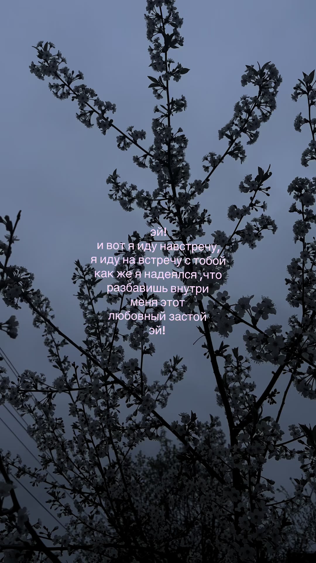@★★★