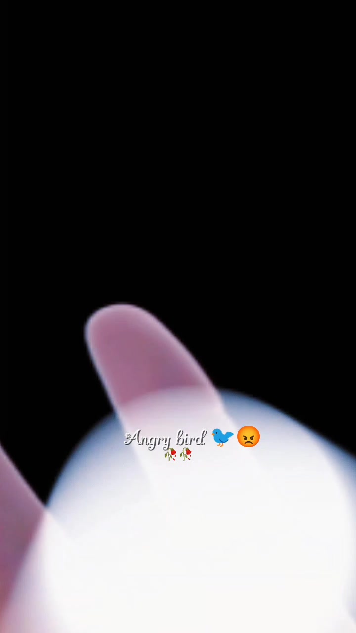 @💫𝖆𝖓𝖌𝖗𝖞 𝖇𝖎𝖗𝖉𝖘💫💥