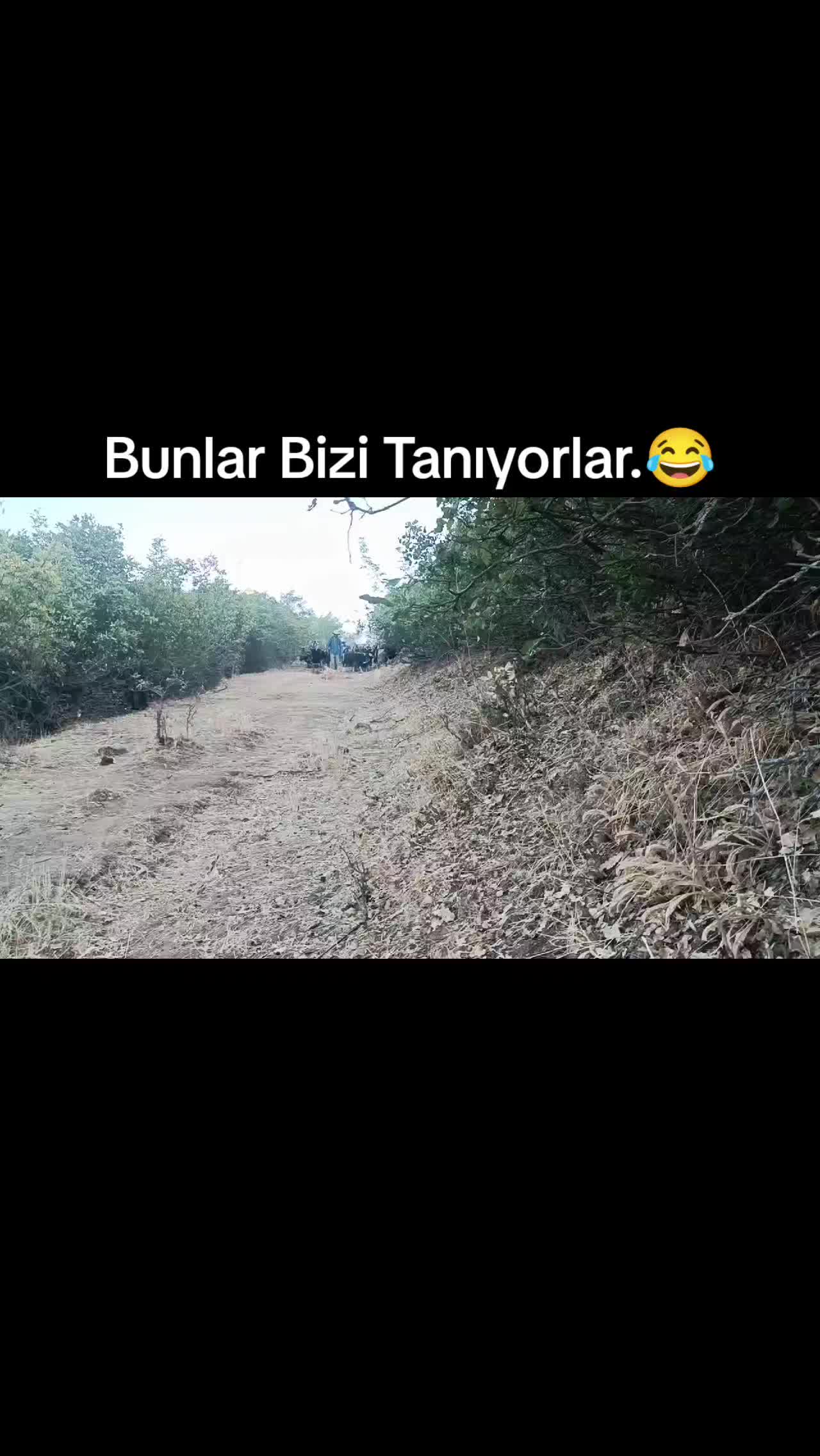 @ko&ccedil;er.12