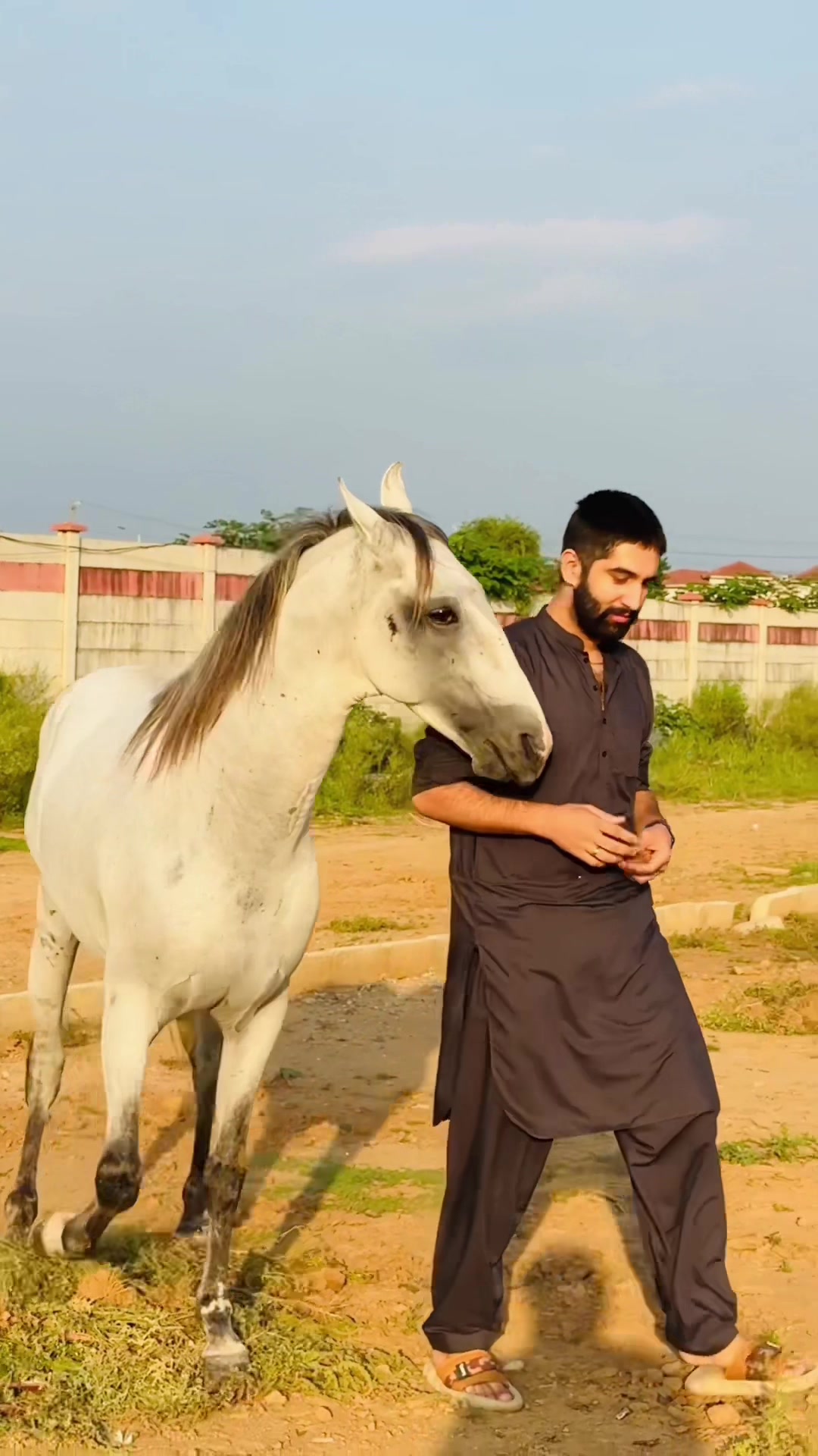 @#DSA🐎