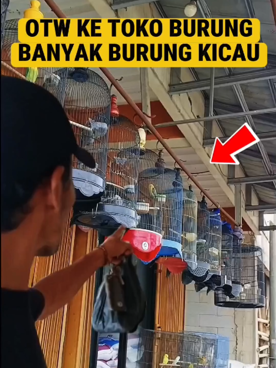 @BANG LEYON