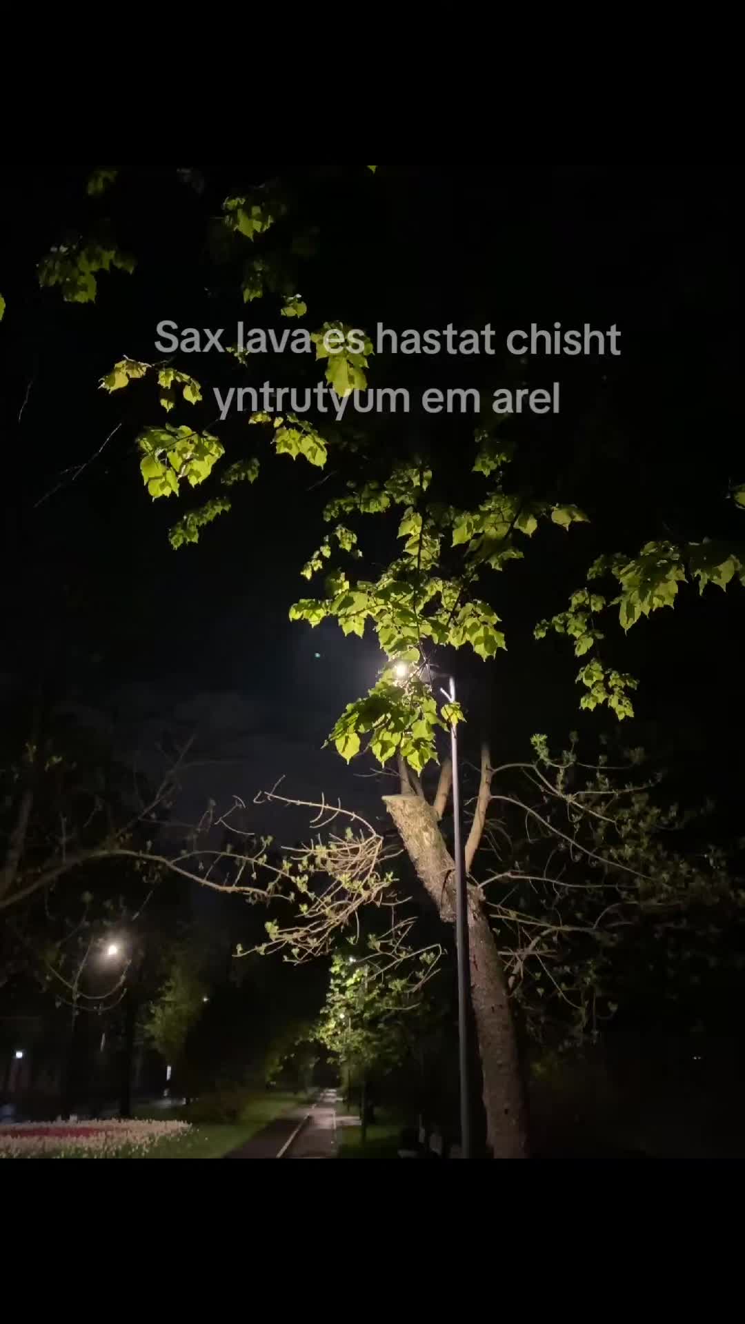 @🌪️
