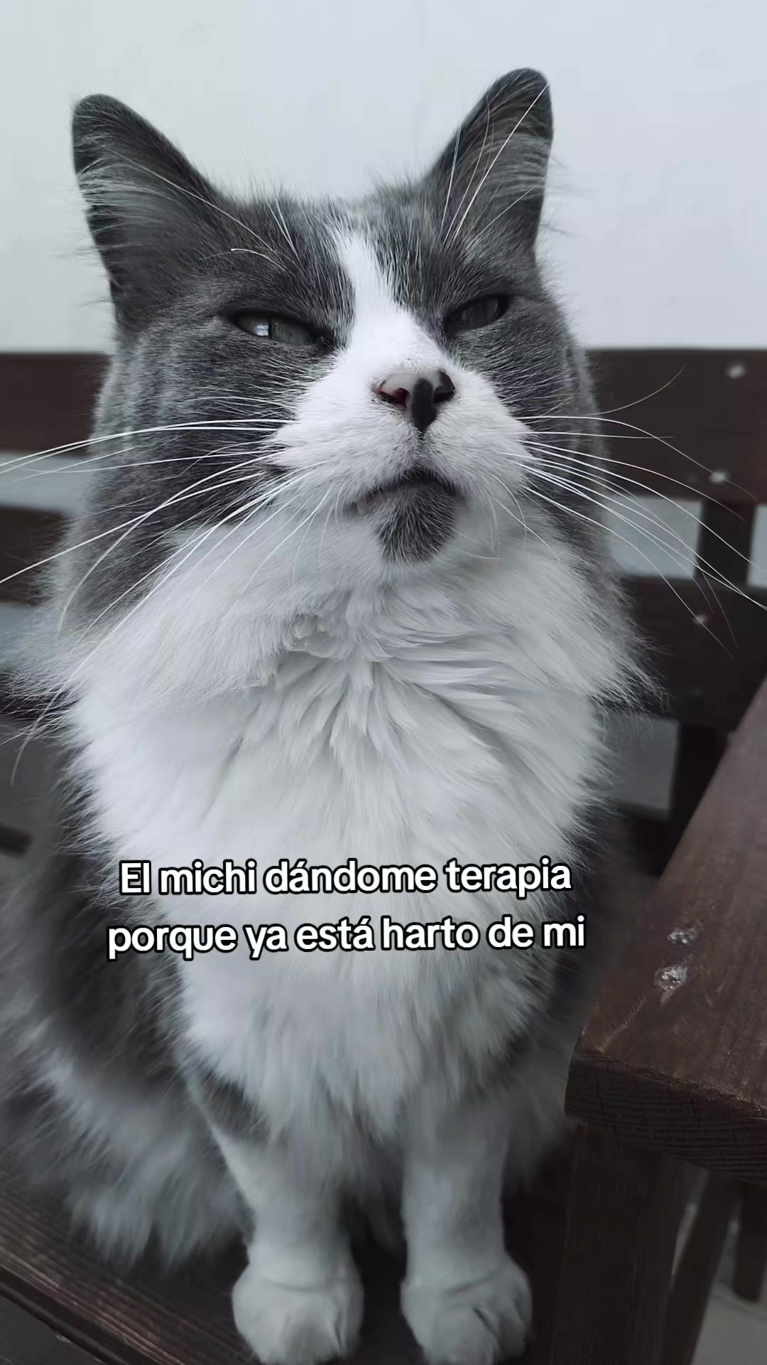 @Karen Macho