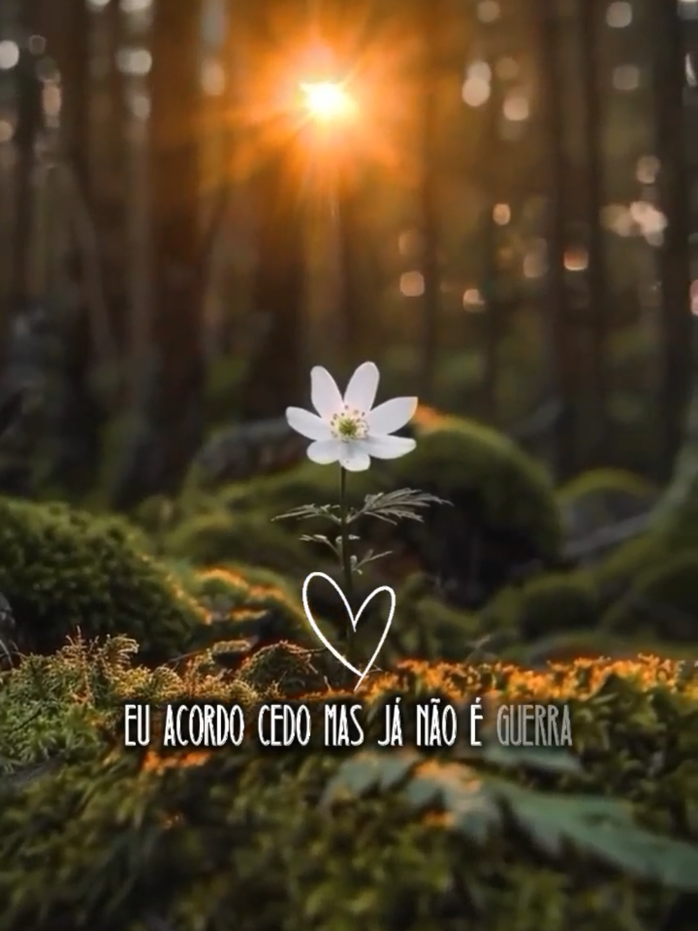 @MODELOS CapCut♡