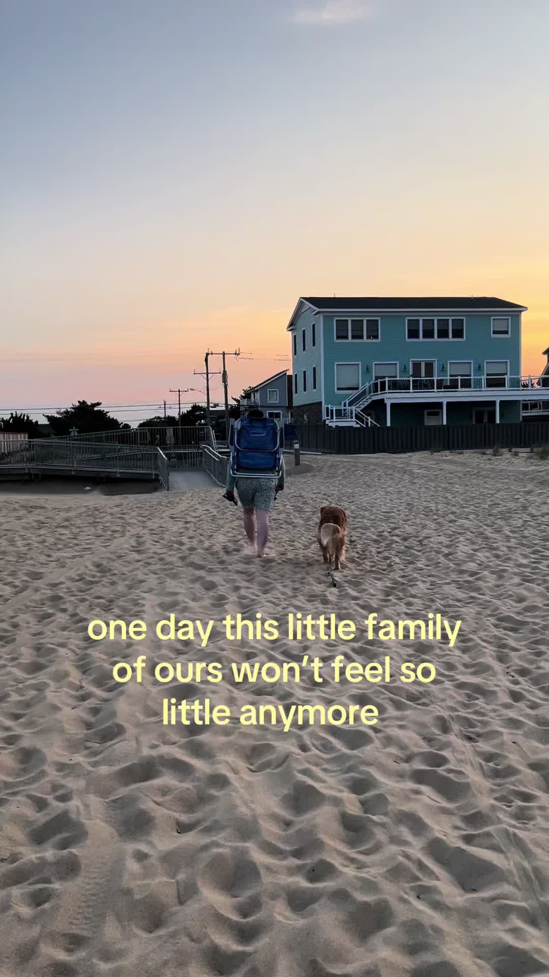 @Abigail Sweet | ivf + life