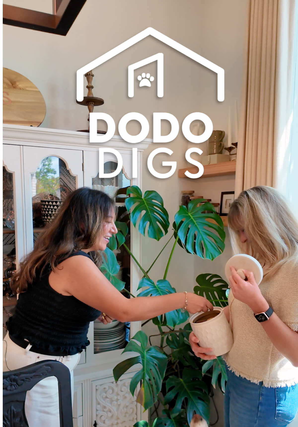 @The Dodo