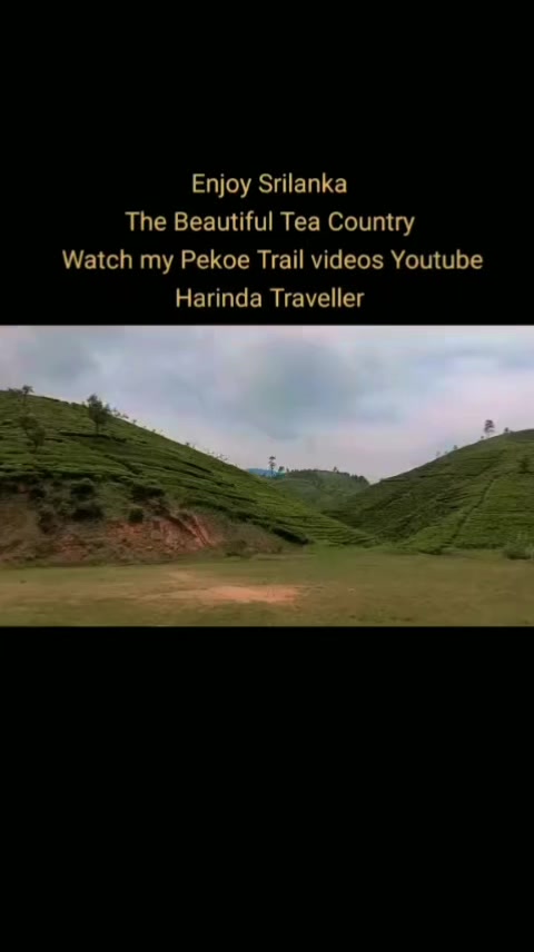 @Harinda Traveller