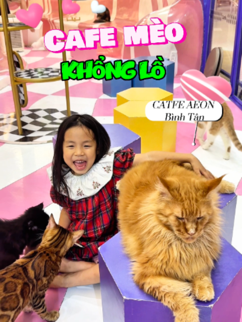 @Catfe 🐱