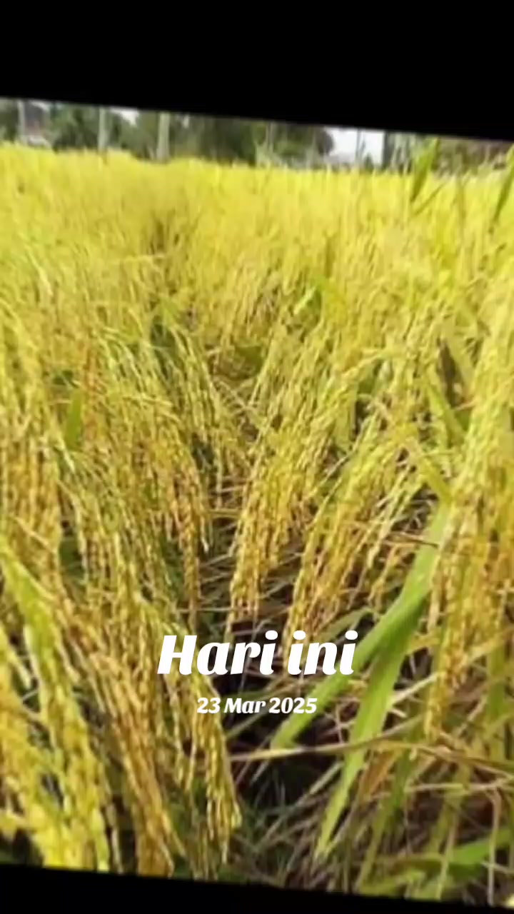 @PT. BHD INDONESIA
