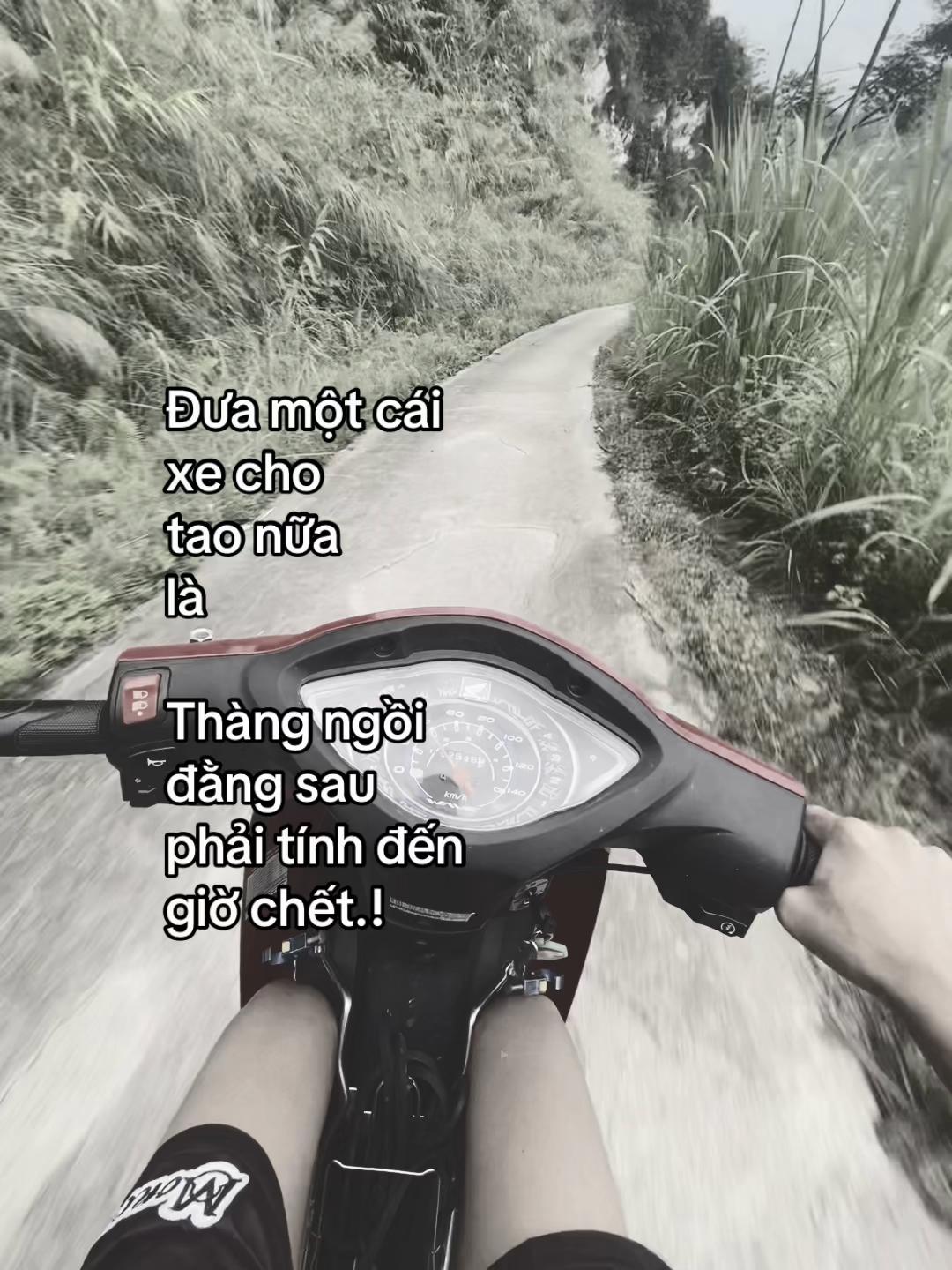 @Văn Th&agrave;nh🔫🍂
