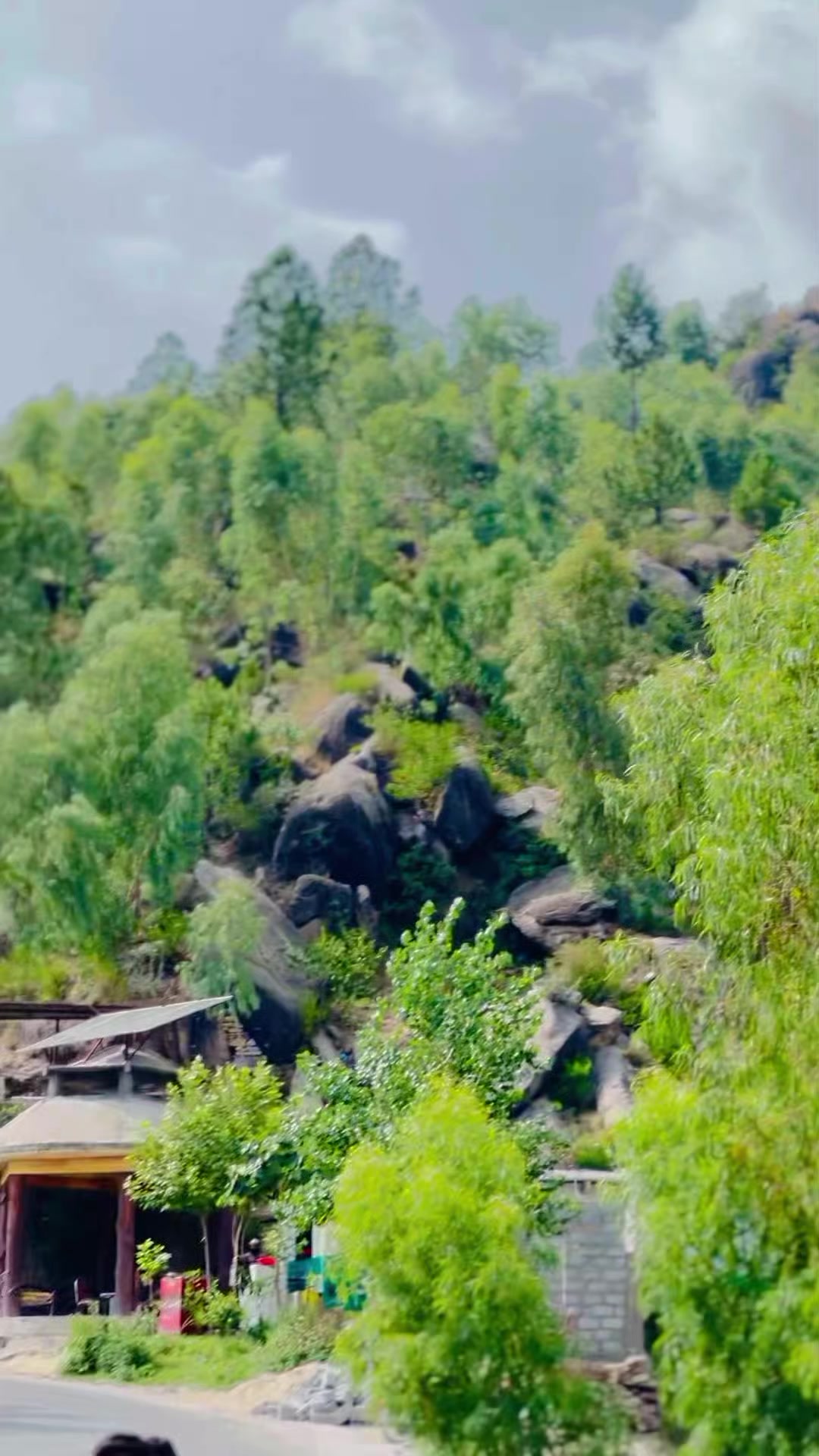 @A W A i S   J A N i