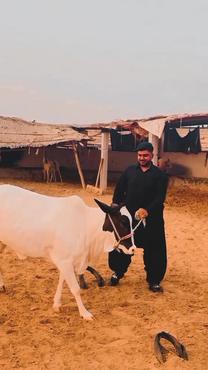 @👑Kabir Qureshi👑