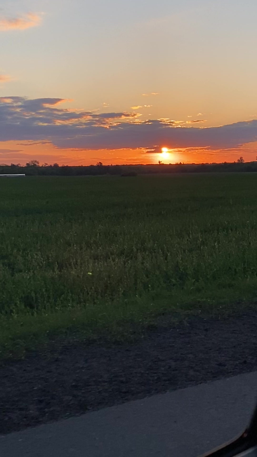@Юлия