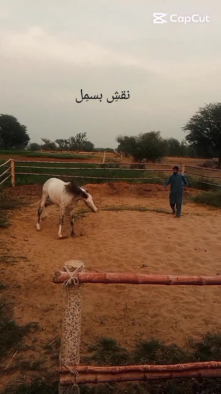 @Fahad Sultan