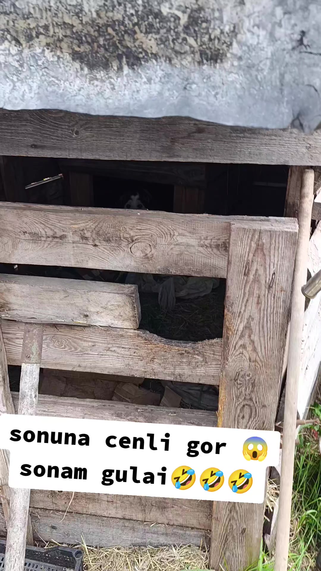 @ВолК... 2707