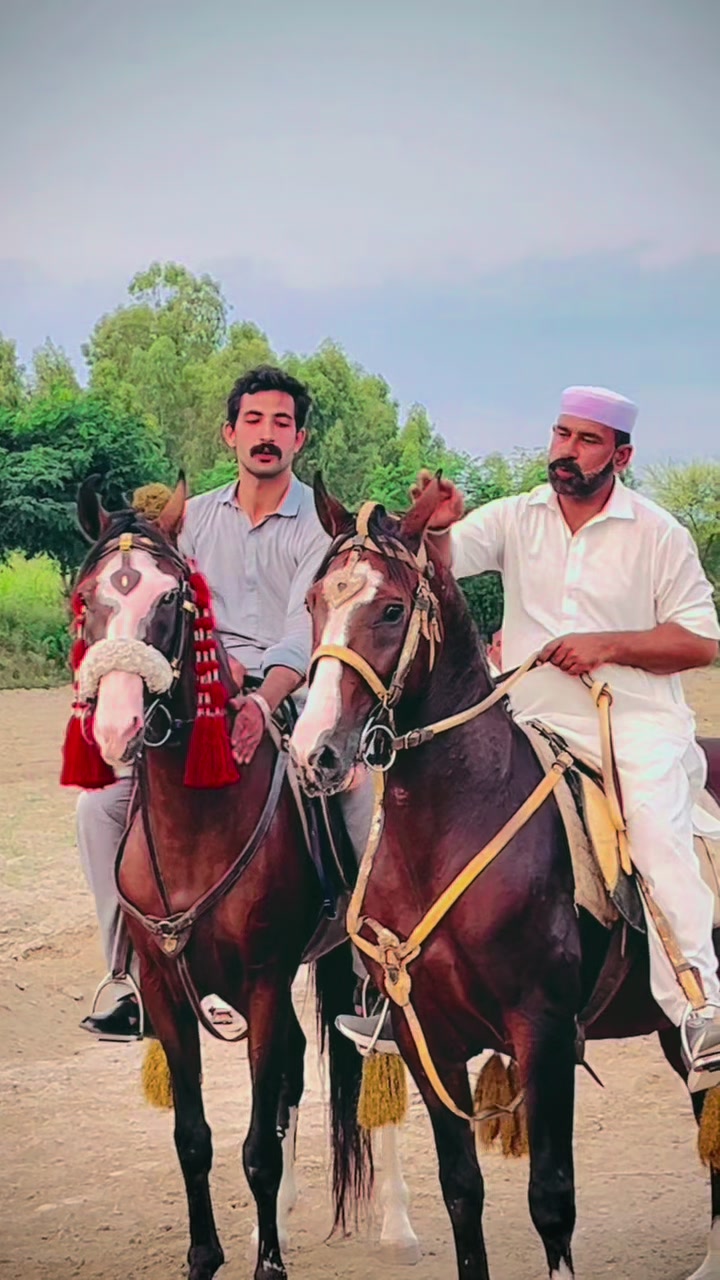 @Sikandar Jadoon