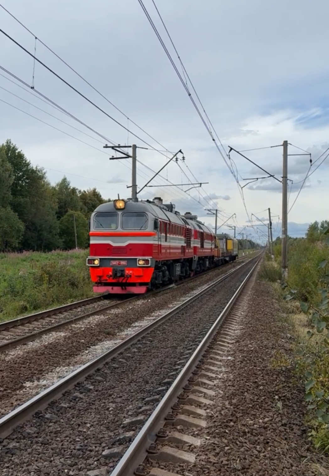 @Limon4ik 🛤️