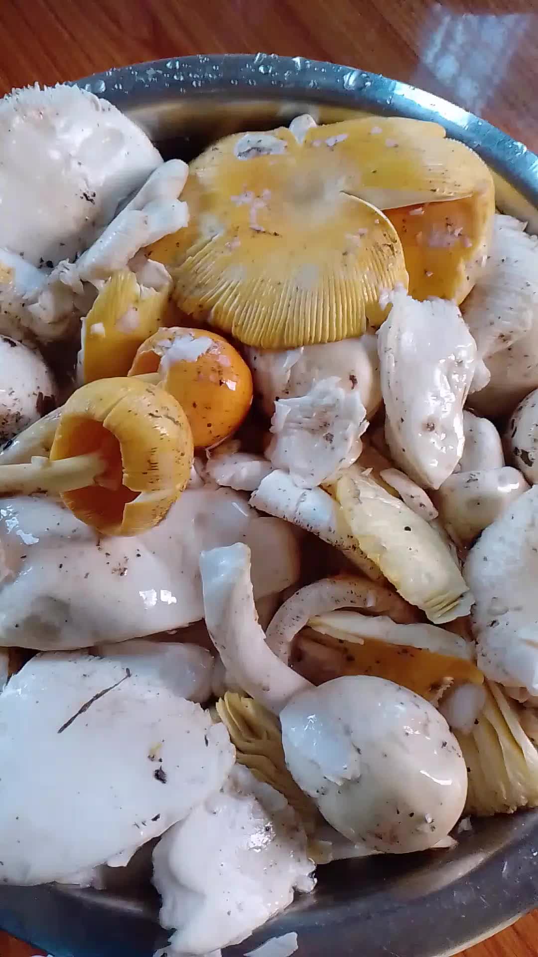 @Ambika16