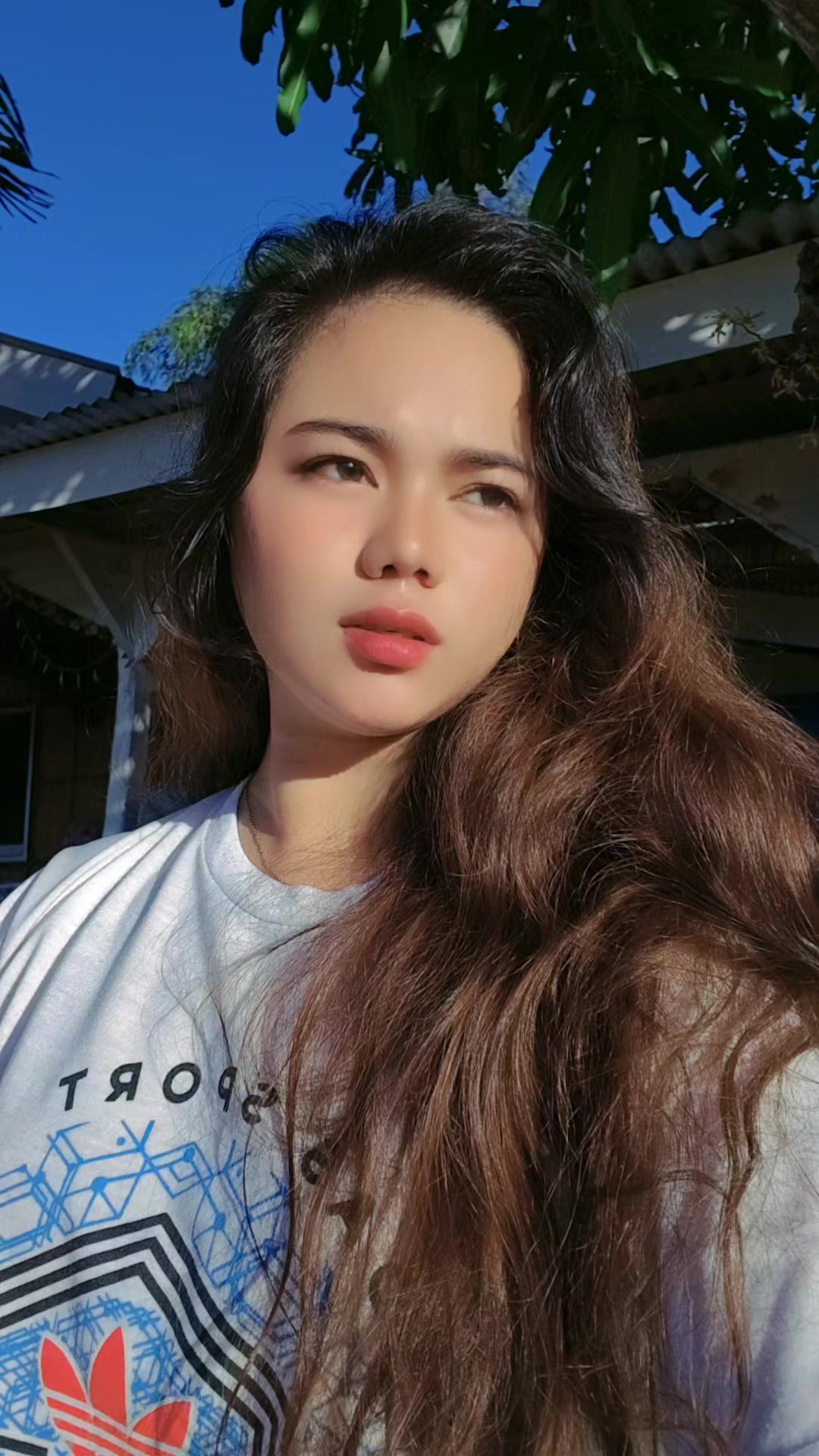 @apostol111