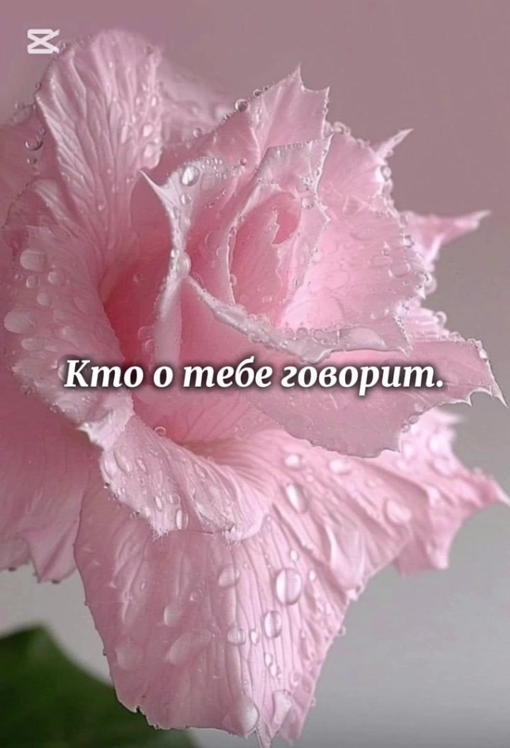 @Polli