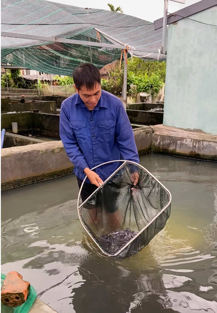 @Trại Cá Giống Quang Lâm