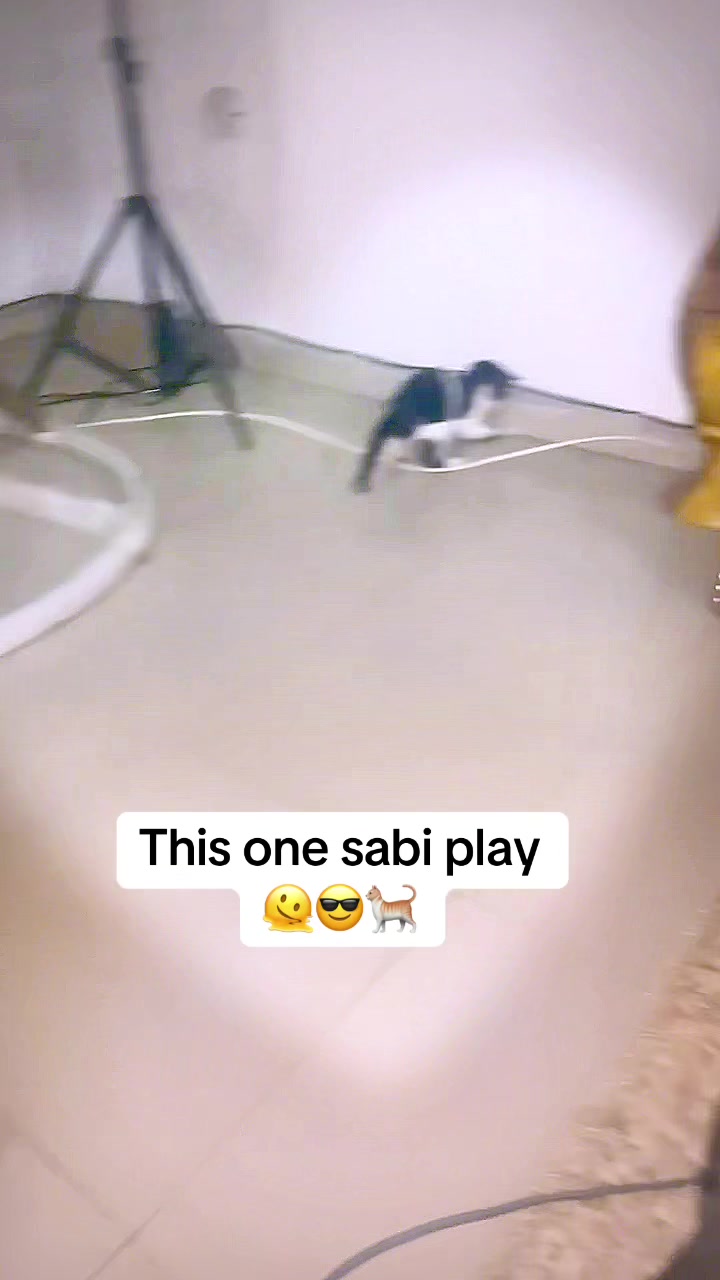 @Ambepaul