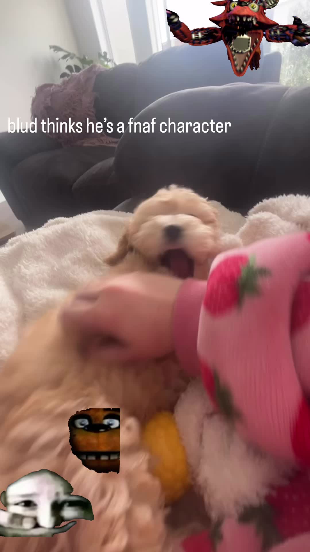 @Emma