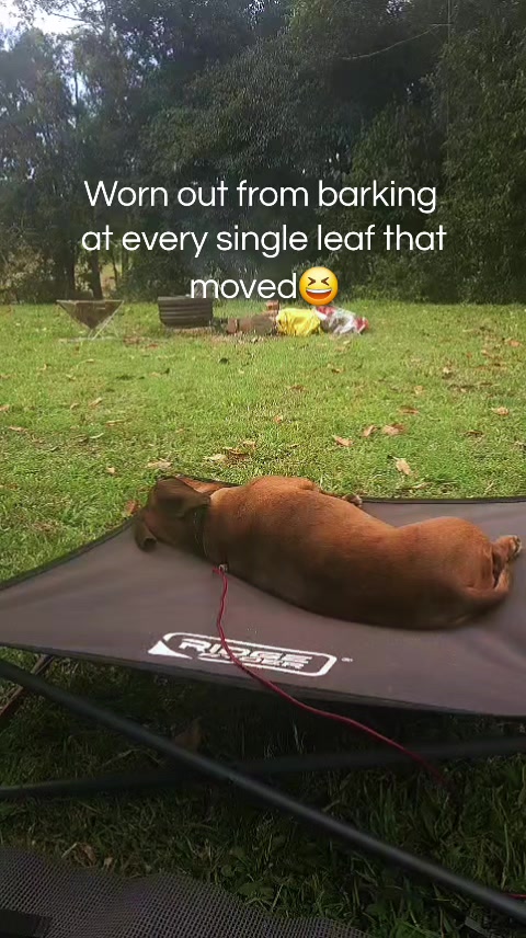 @LT