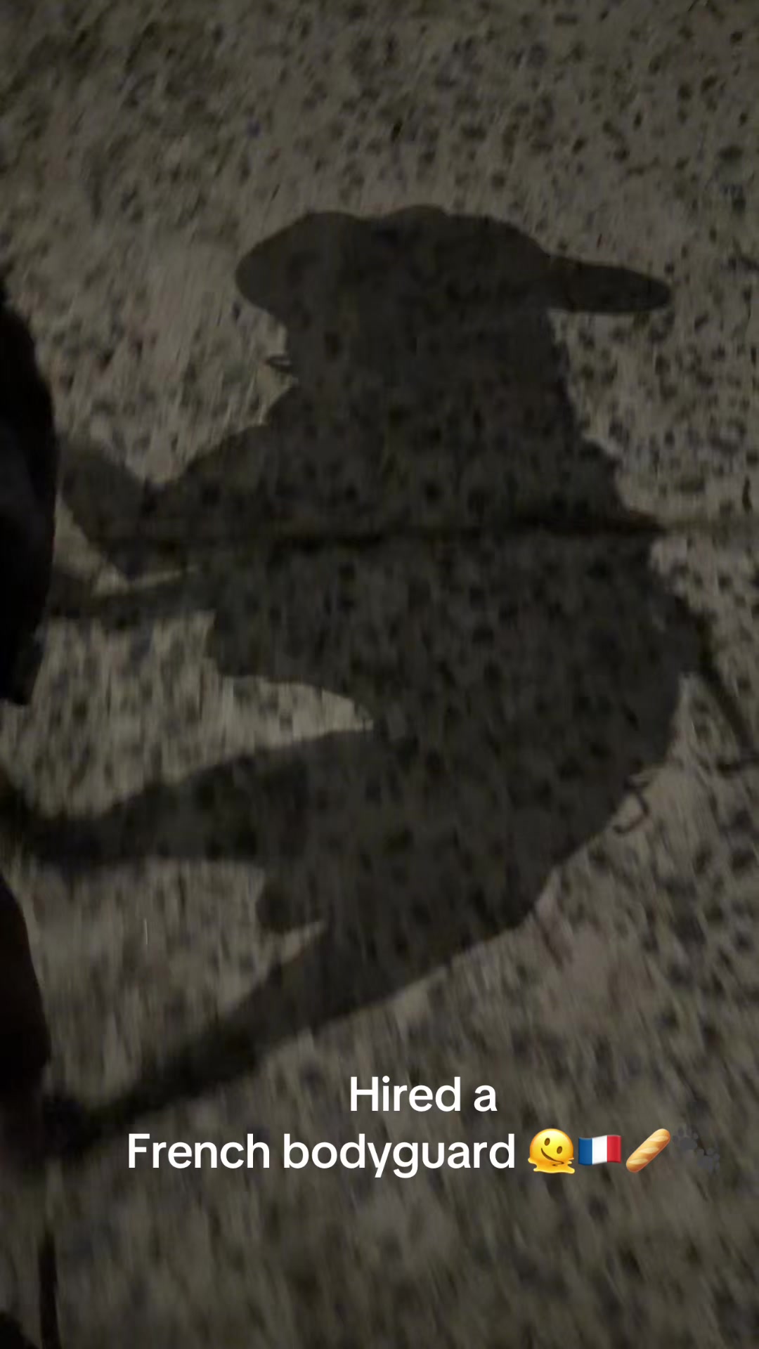 @meluuusa2424