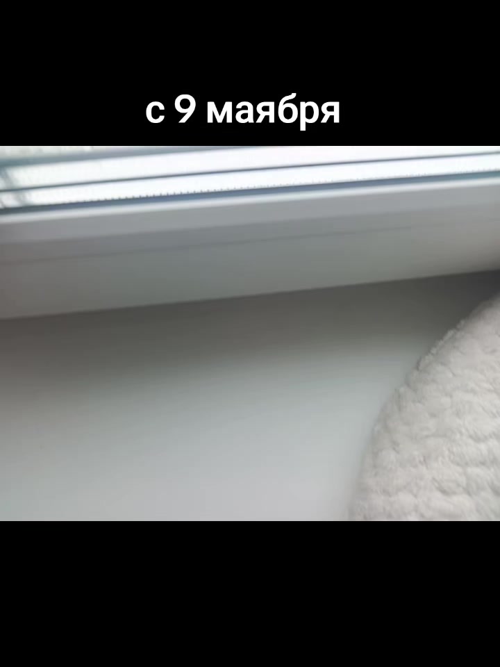 @заплесневейший ваукс