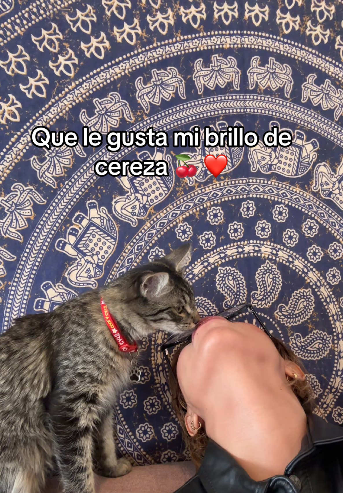 @_heeyshaakti_