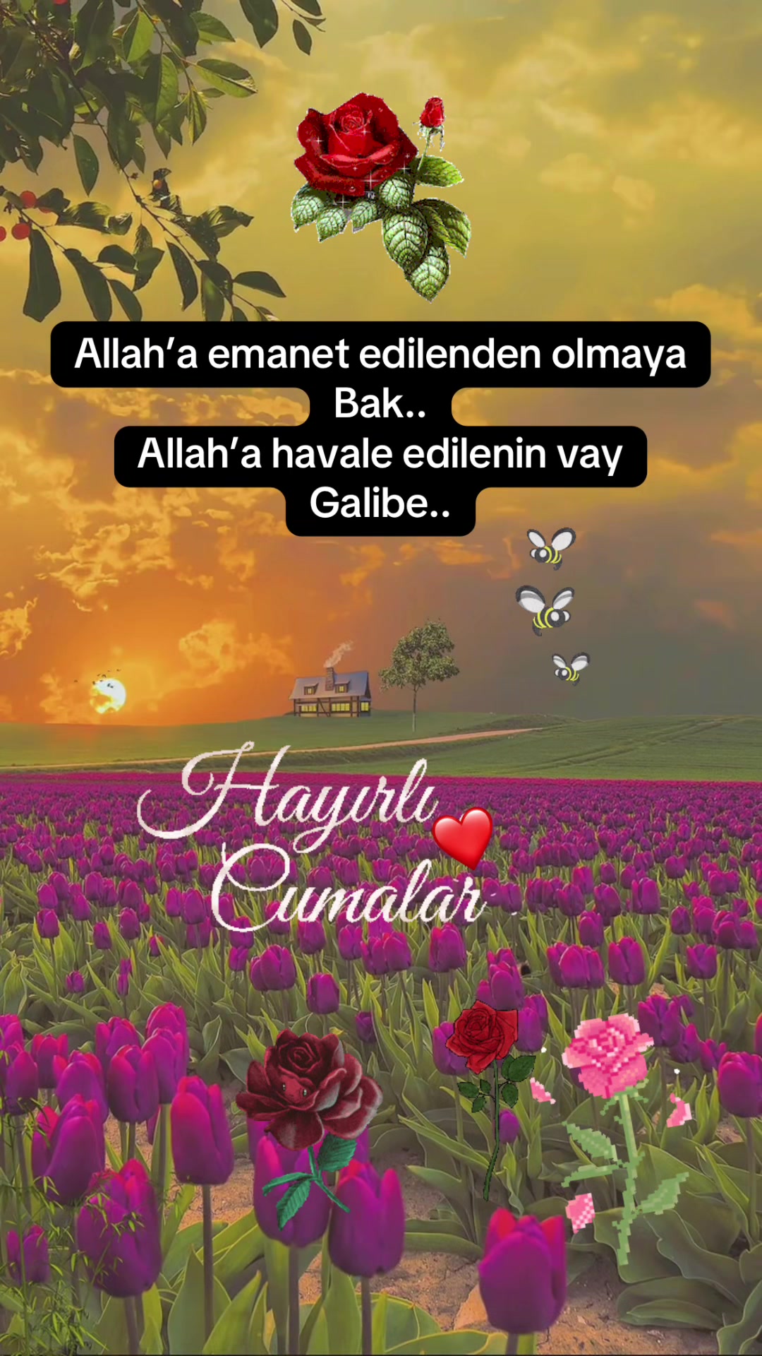 @Arzu safiye