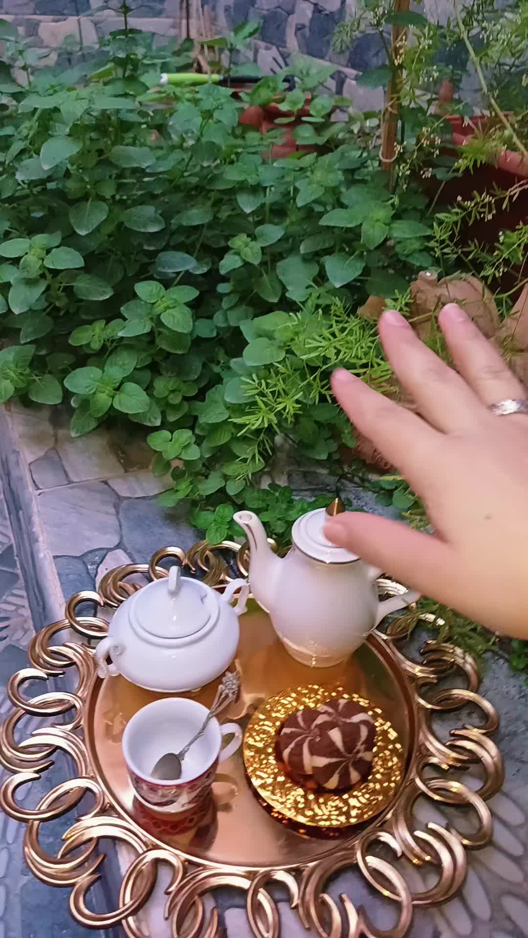 @سلسبيل بلبولة