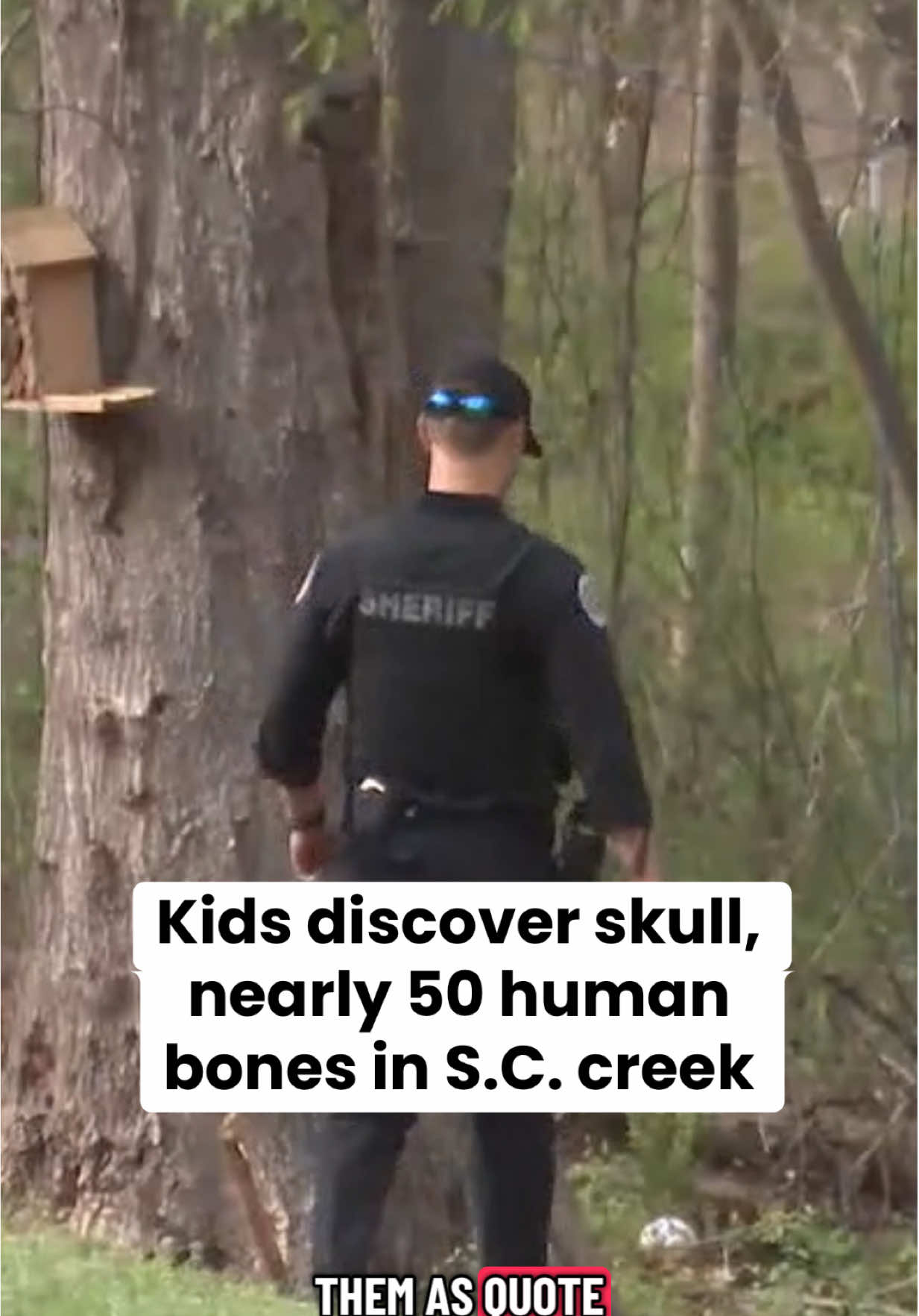 @WRDW News 12