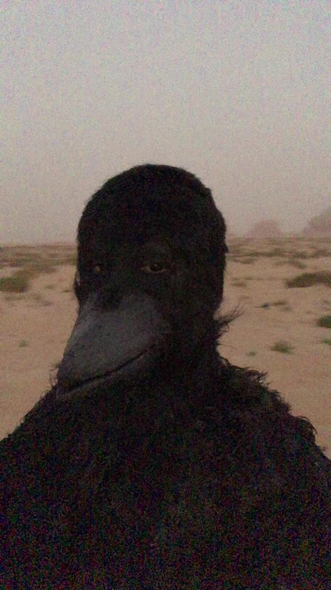 @ADNAN - Al-Ahsa