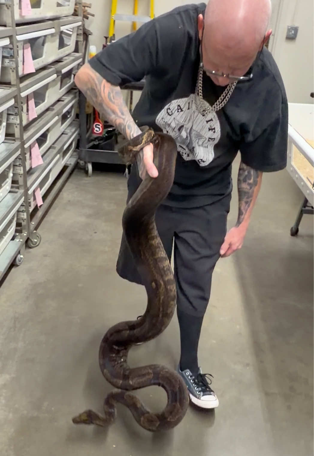 @Snake Country
