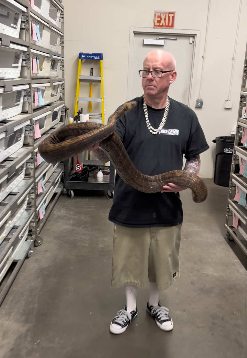 @Snake Country