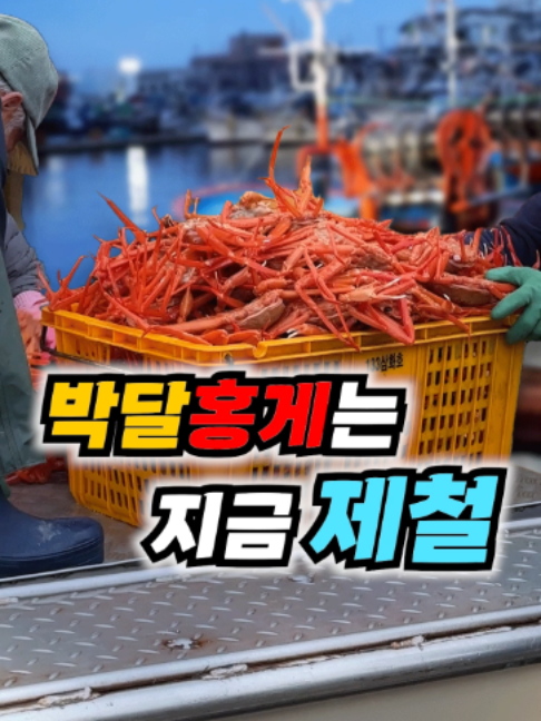 @싱싱헌터스