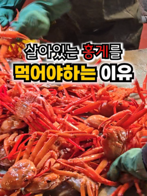 @싱싱헌터스