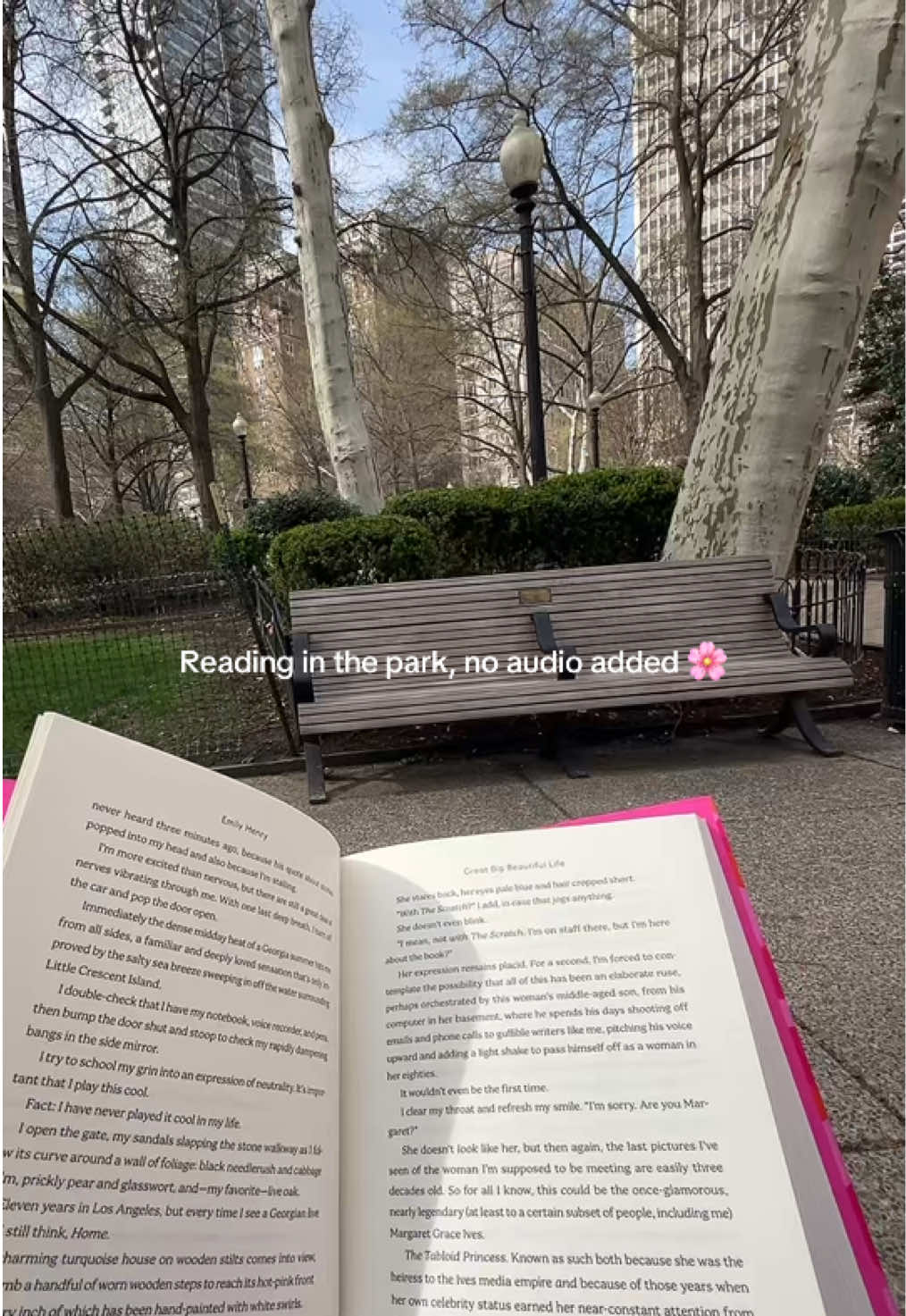@Amanda Monachelli 📚