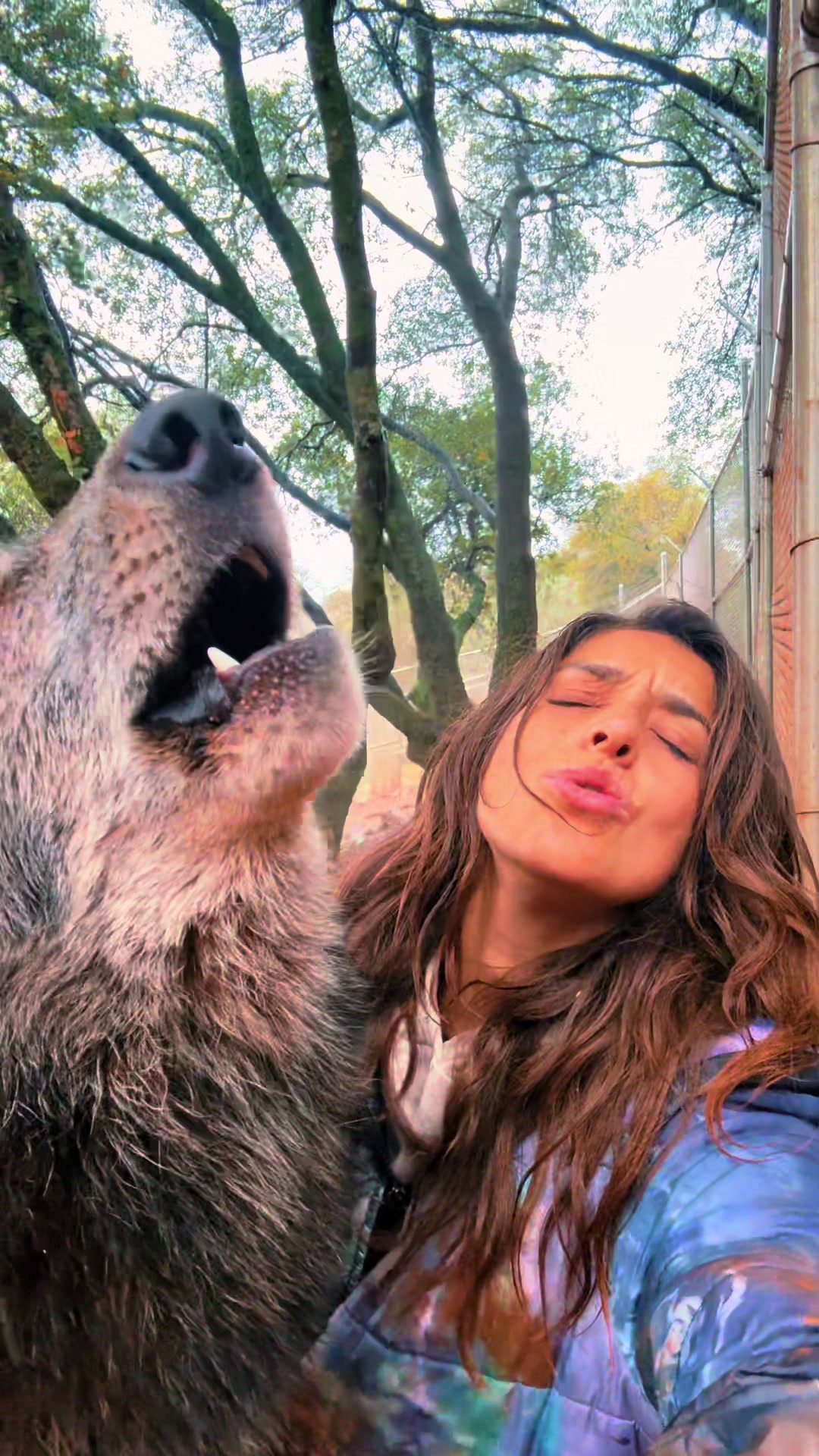 @naniloveswolves