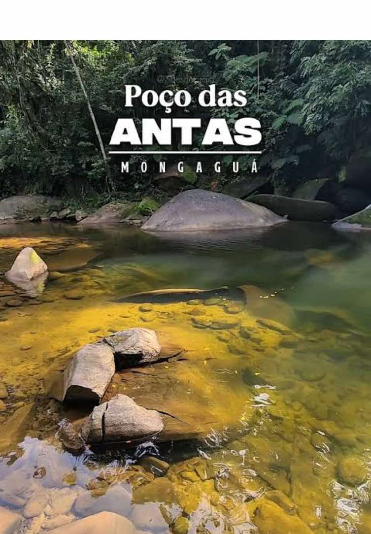 @Thomas Eduardo LS I