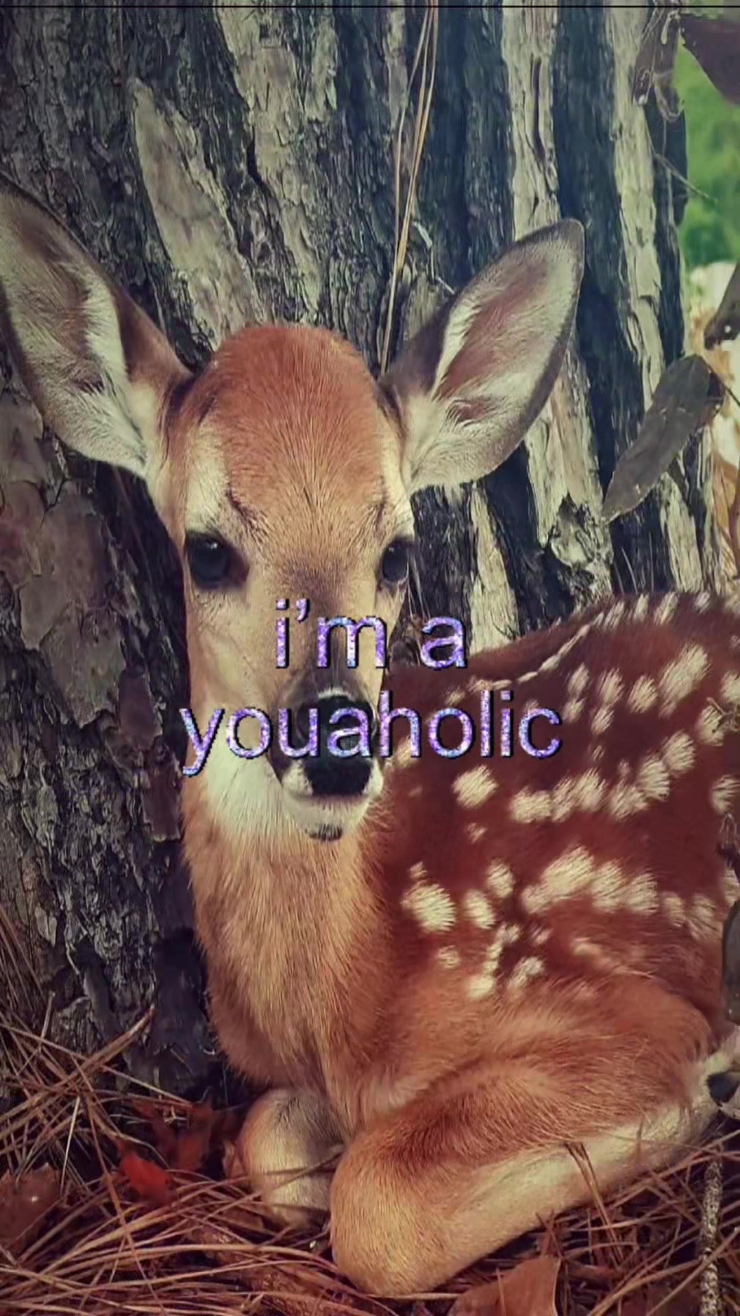 @livinlikedis