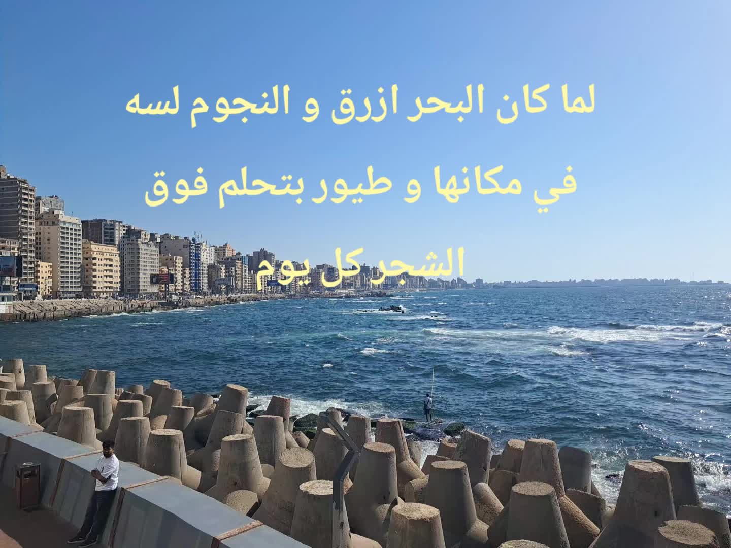 @شهد فرج |shahd farag🤍✨️