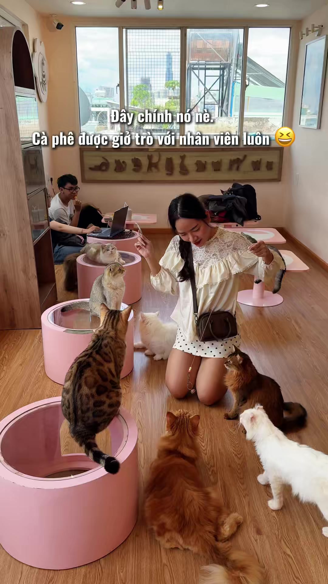 @thao leader