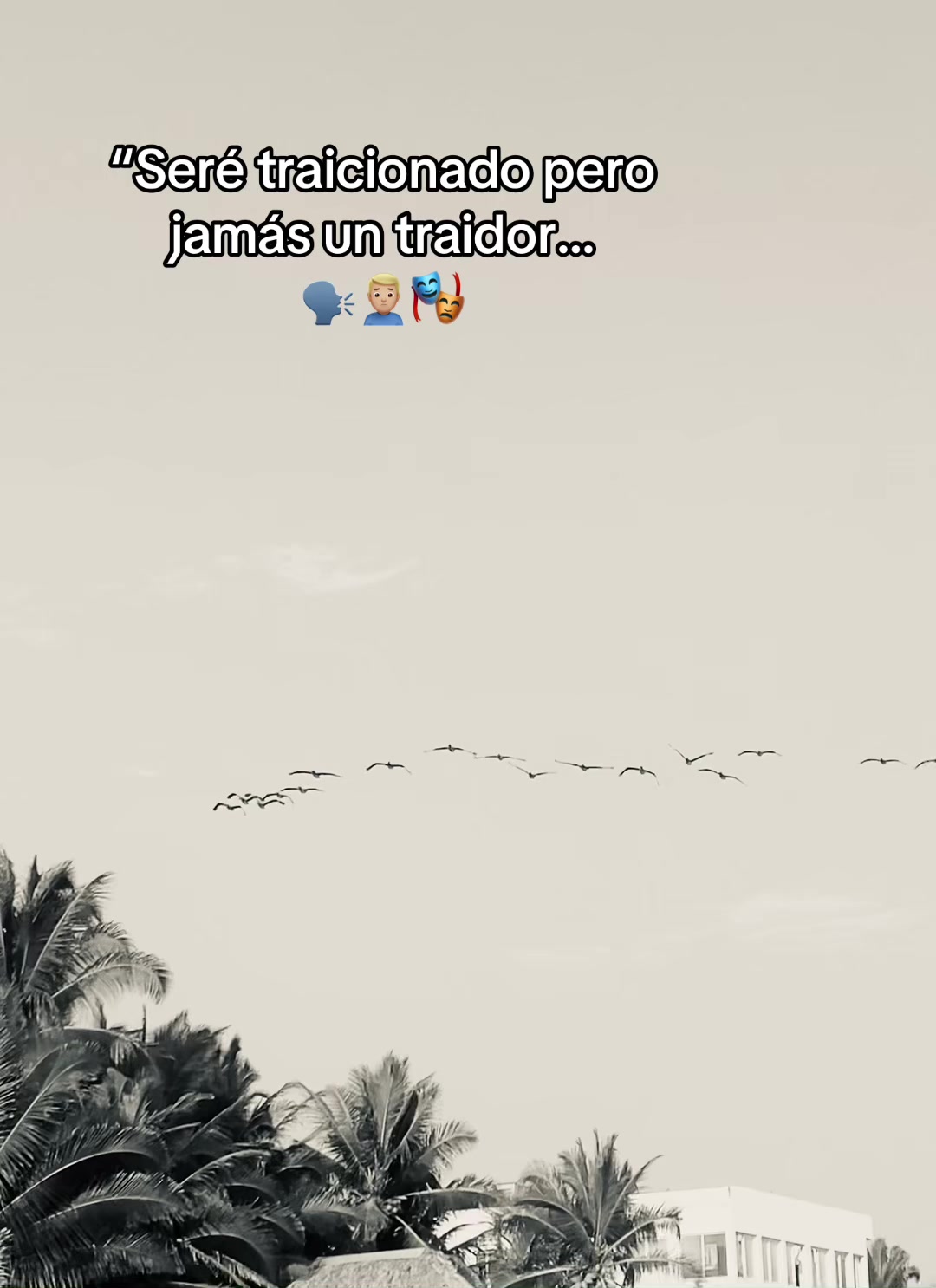 @RODR&Iacute;GUEZ🤦🏽