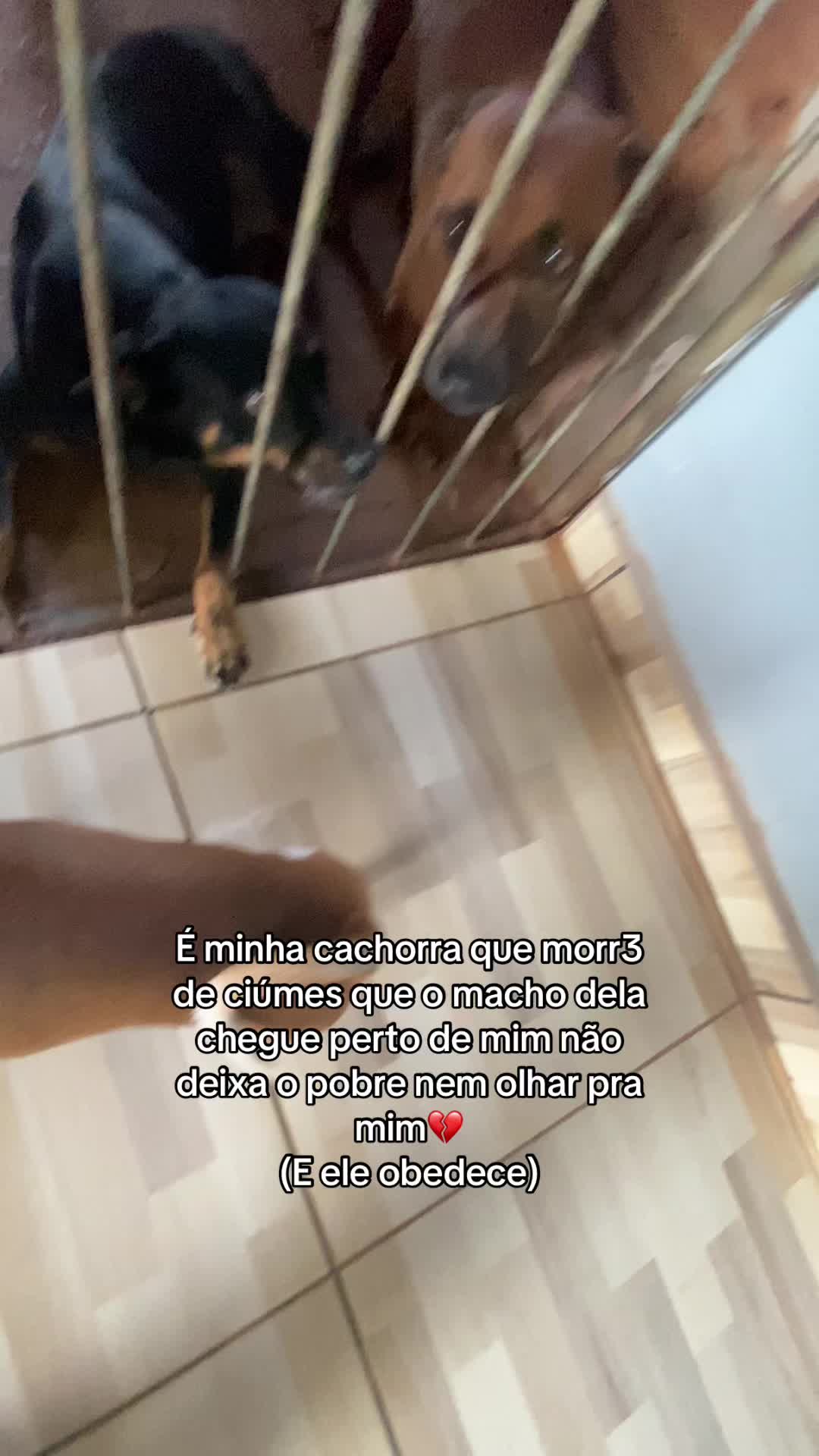 @Eleven brasileira 🇧🇷