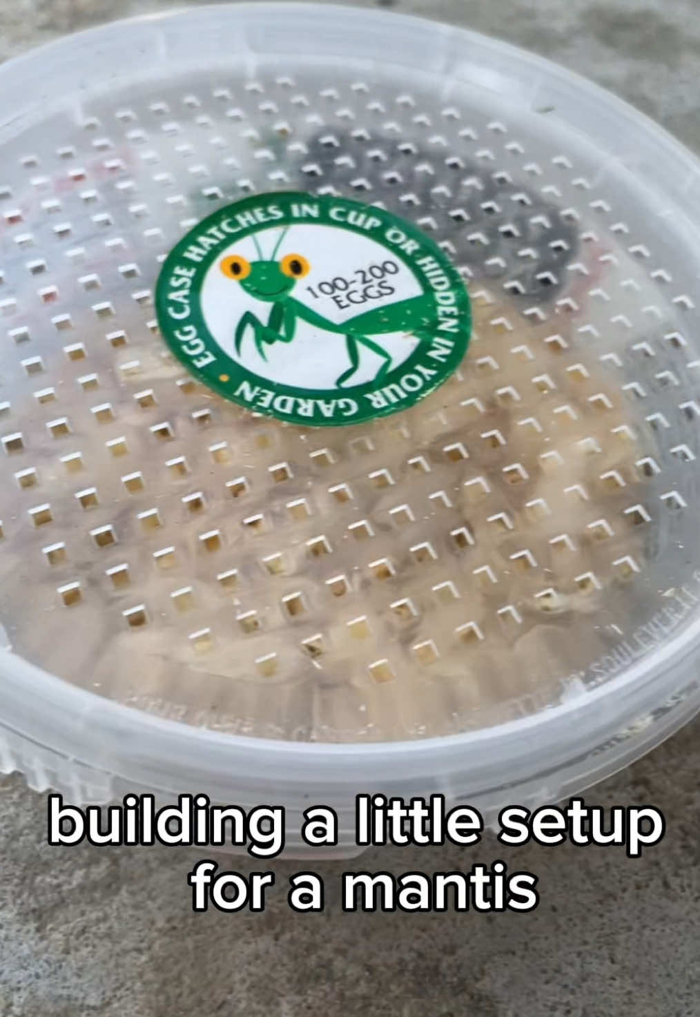 @syd 🦠