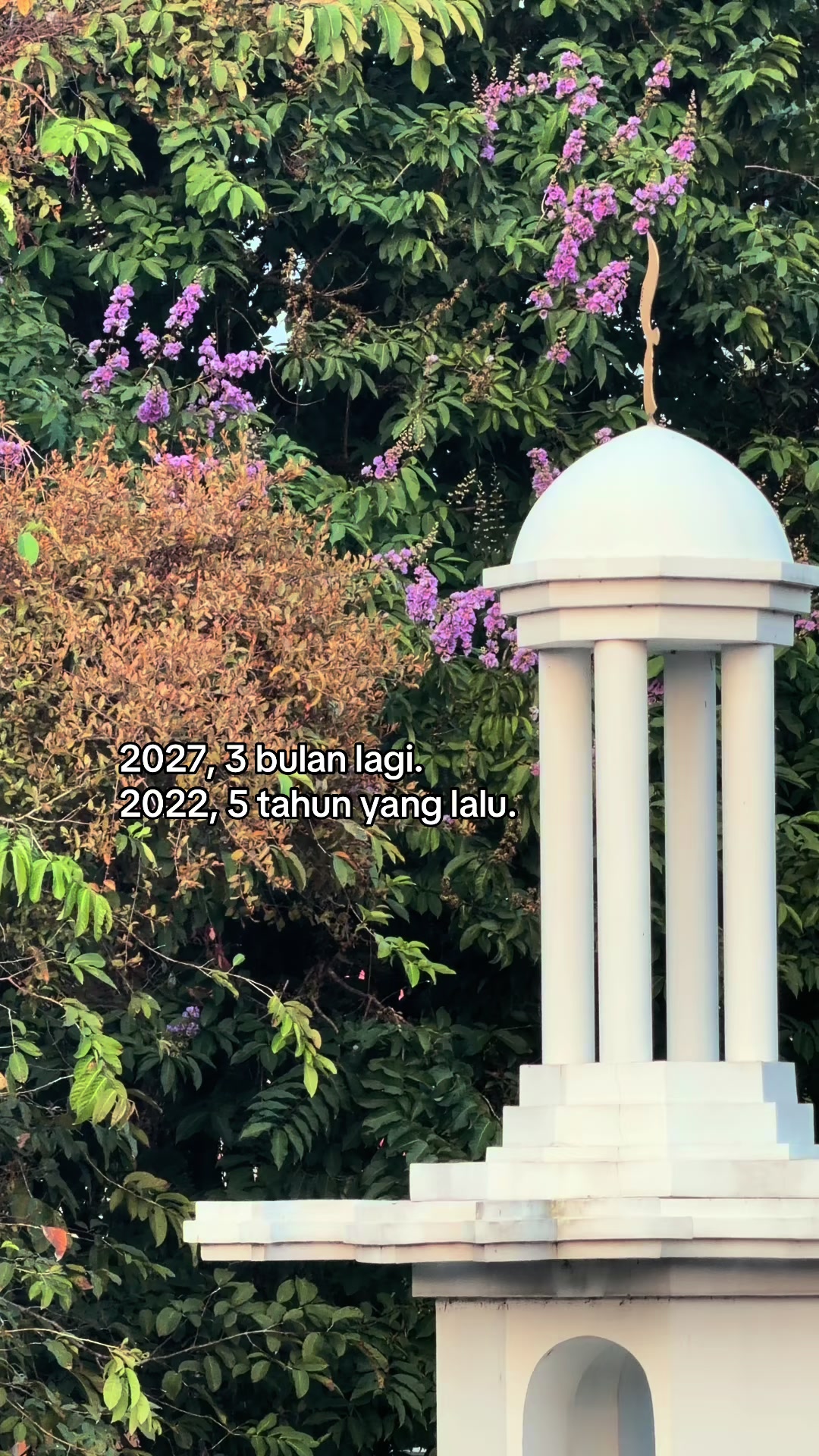 @ㅤ